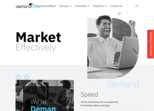 How demandblue.com looks like on a tablet such as an iPad.