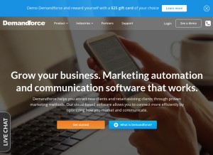 How demandforce.com looks like on a tablet such as an iPad.