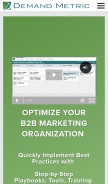 How demandmetric.com looks like on a mobile device such as an iPhone.