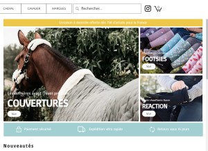 How demivolte.fr looks like on a tablet such as an iPad.