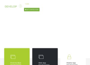 How develop4u.co looks like on a tablet such as an iPad.