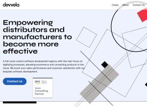 How devvela.com looks like on a tablet such as an iPad.