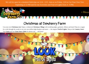 How dewberryfarm.com looks like on a tablet such as an iPad.