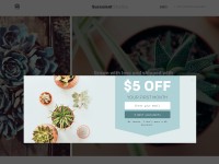 Desktop screenshot for succulent.studio