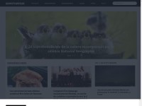 Desktop screenshot for demotivateur.fr