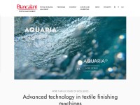 Desktop screenshot for biancalani.com