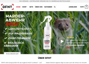 How dfnt.de looks like on a tablet such as an iPad.