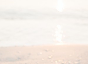 How dharmashop.com looks like on a tablet such as an iPad.