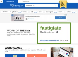 How dictionary.com looks like on a tablet such as an iPad.