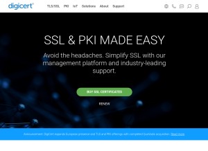 How digicert.com looks like on a tablet such as an iPad.
