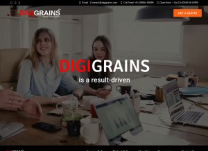How digigrains.com looks like on a tablet such as an iPad.