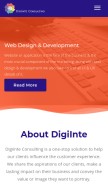 How digiinte.com looks like on a mobile device such as an iPhone.