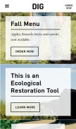 How diginn.com looks like on a mobile device such as an iPhone.