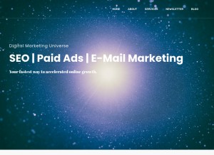 How digital-marketing-universe.com looks like on a tablet such as an iPad.