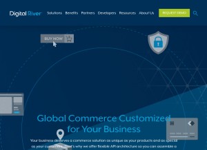 How digitalriver.com looks like on a tablet such as an iPad.