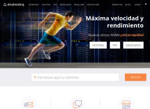 How dinahosting.com looks like on a tablet such as an iPad.
