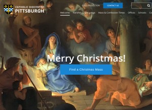 How diopitt.org looks like on a tablet such as an iPad.
