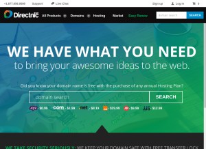 How directnic.com looks like on a tablet such as an iPad.