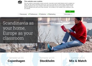 How disabroad.org looks like on a tablet such as an iPad.