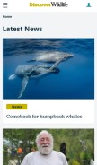 How discoverwildlife.com looks like on a mobile device such as an iPhone.