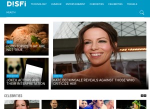 How disfi.com looks like on a tablet such as an iPad.