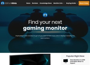 How displayninja.com looks like on a tablet such as an iPad.