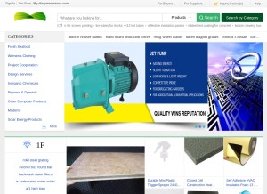 How disqueenfrance.com looks like on a tablet such as an iPad.