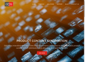 How distributordatasolutions.com looks like on a tablet such as an iPad.