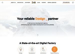 How ditindia.com looks like on a tablet such as an iPad.