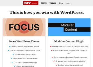 How diythemes.com looks like on a tablet such as an iPad.