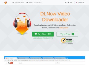 How dlnowsoft.com looks like on a tablet such as an iPad.