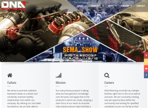 How dnamotoring.com looks like on a tablet such as an iPad.