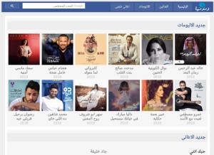 How dndnha.com looks like on a tablet such as an iPad.