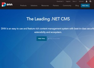 How dnnsoftware.com looks like on a tablet such as an iPad.