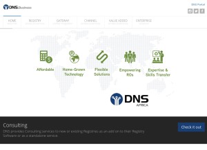 How dns.business looks like on a tablet such as an iPad.