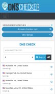 How dnschecker.org looks like on a mobile device such as an iPhone.