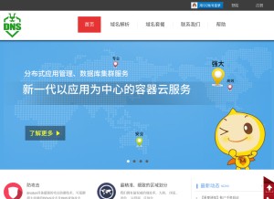 How dnsdun.com looks like on a tablet such as an iPad.