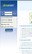 How dnsever.com looks like on a mobile device such as an iPhone.