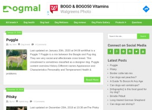 How dogmal.com looks like on a tablet such as an iPad.
