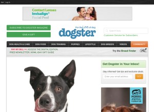 How dogster.com looks like on a tablet such as an iPad.