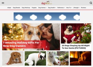 How dogtime.com looks like on a tablet such as an iPad.
