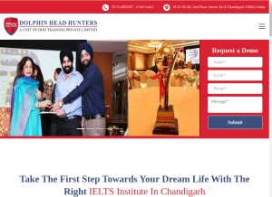 How dolphinheadhunter.com looks like on a tablet such as an iPad.