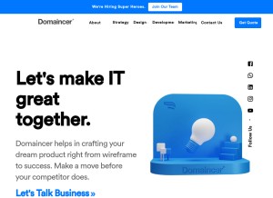 How domaincer.com looks like on a tablet such as an iPad.