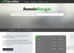How domaindiscover.com looks like on a tablet such as an iPad.