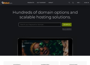 How domainsatcost.ca looks like on a tablet such as an iPad.