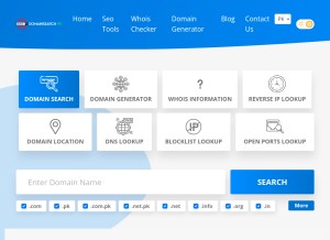 How domainsearch.pk looks like on a tablet such as an iPad.
