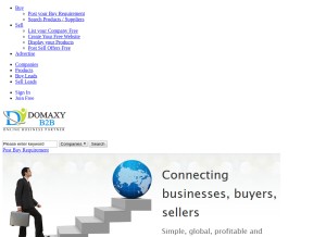 How domaxyb2b.com looks like on a tablet such as an iPad.