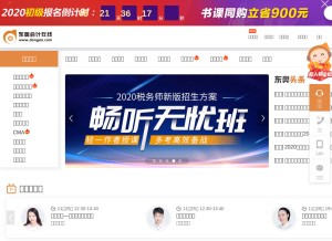 How dongao.com looks like on a tablet such as an iPad.