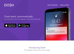 How dosh.cash looks like on a tablet such as an iPad.