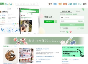 How douban.com looks like on a tablet such as an iPad.